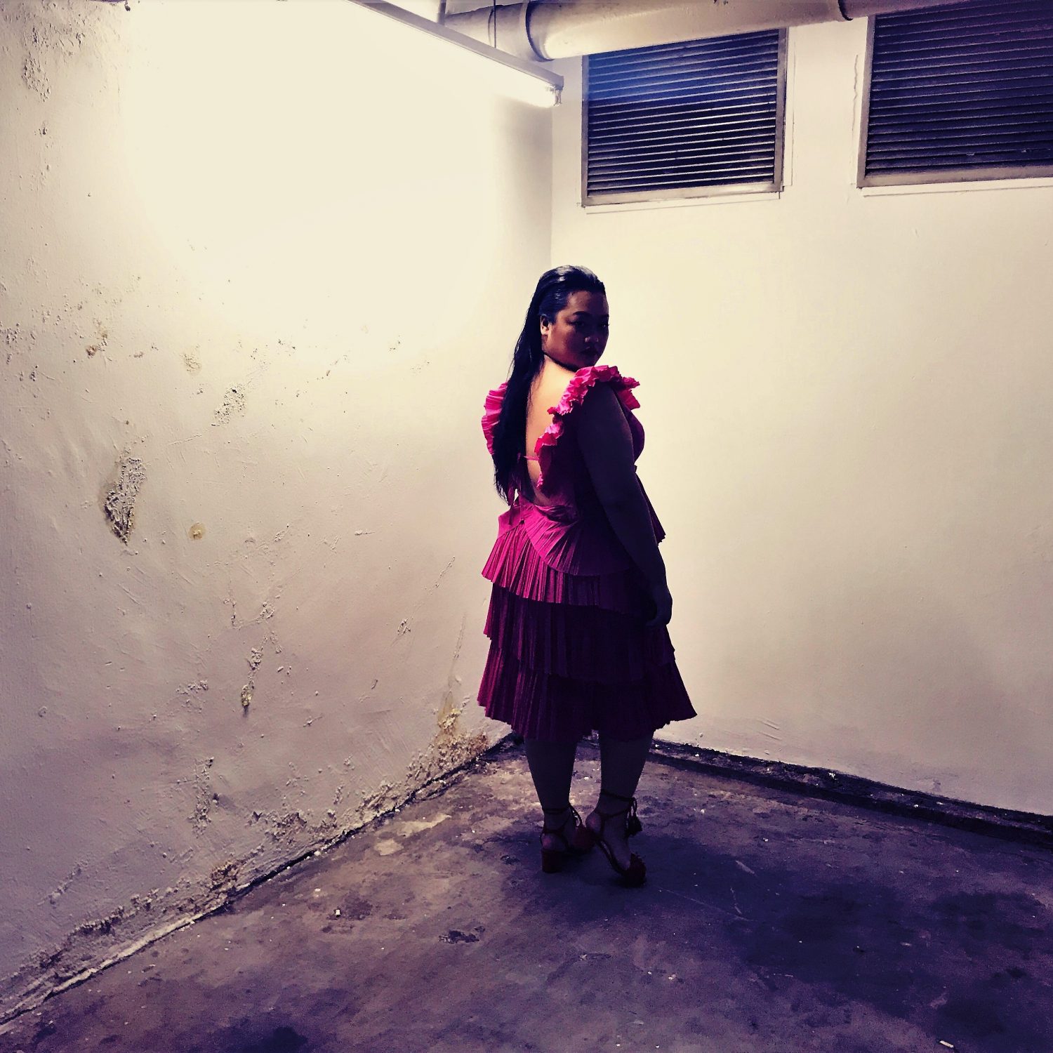 THE DRESS THAT NEVER MADE IT TO THE PARTY