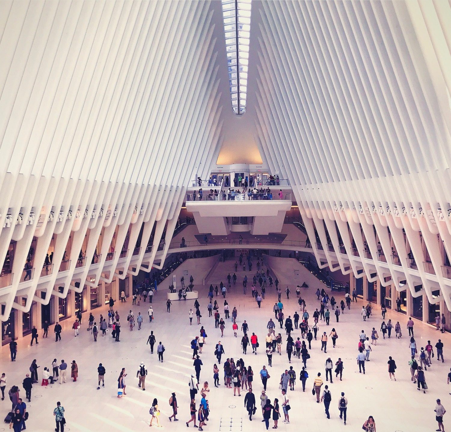 THE OCULUS