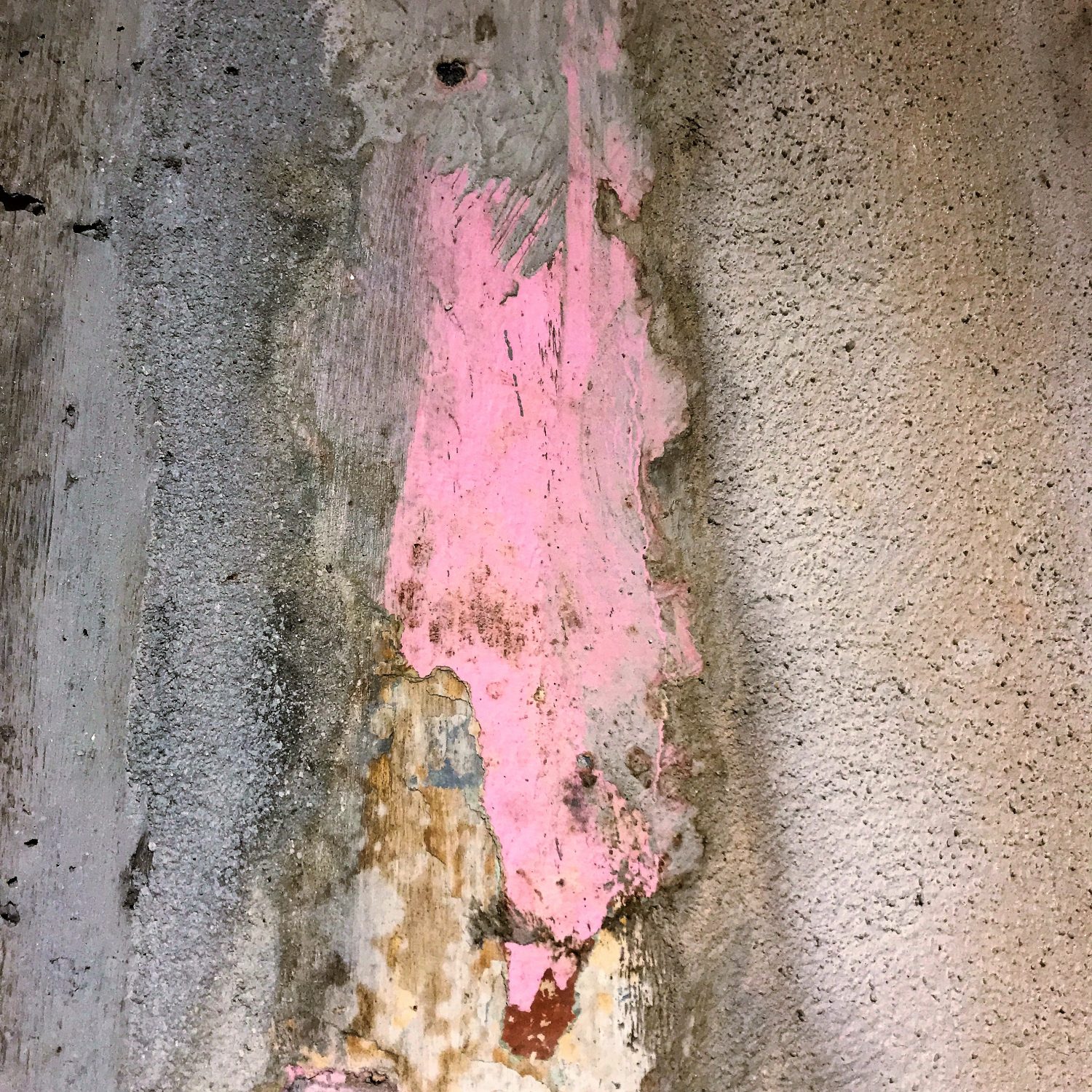 WALL PAINT LIKE A VAGINA AND OTHER THINGS